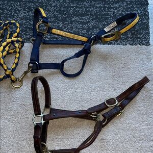 Horse Size Halter Set - Premium leather and BMB custom w lead